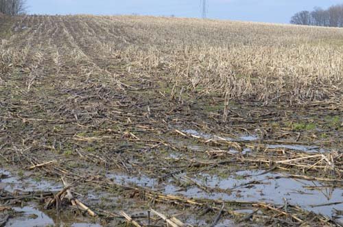 Property photo 43 - 98+/- Acres Offered in 6 Tracts or Combinations, Noble County, Indiana Farm